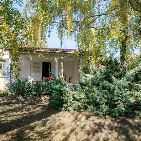 Holiday home Kiwi By Interhome